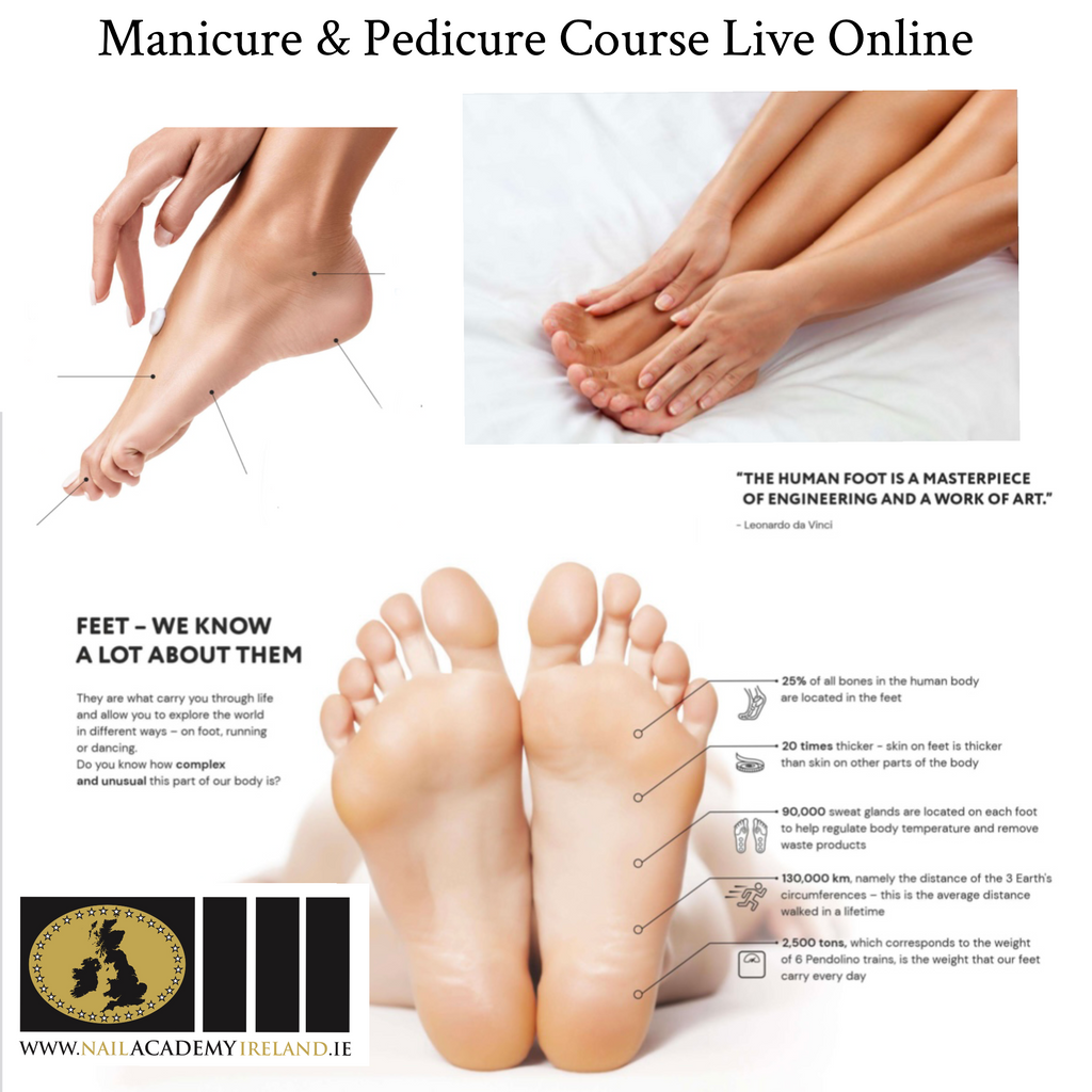 Manicure and Pedicure Course Online : October 04 Wednesday evening 7pm until 9pm live online . ABT-AIT Accredited